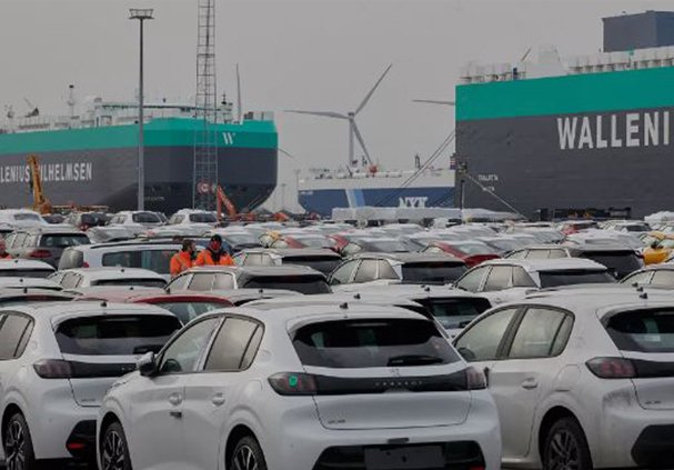 fleet importer vehicle window tinting